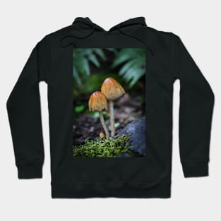 Two Mushrooms Hoodie